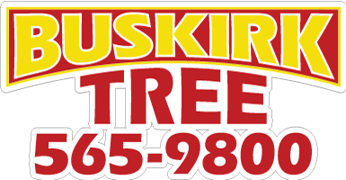 Buskirk Tree Service & Landscaping Inc.